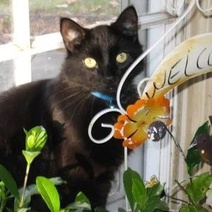 Meet your Posher, Amy